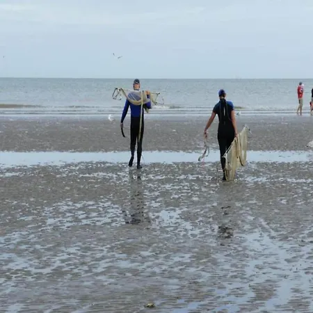 In De Panne Near The Beach, Cleaning Included