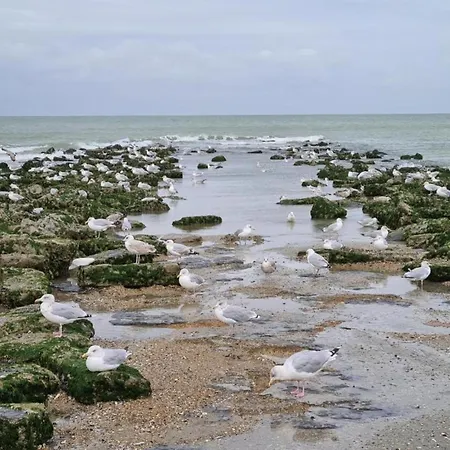 In De Panne Near The Beach, Cleaning Included 코크시데