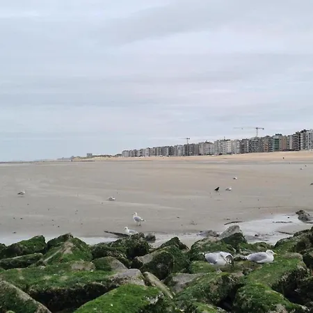 In De Panne Near The Beach, Cleaning Included شقة
